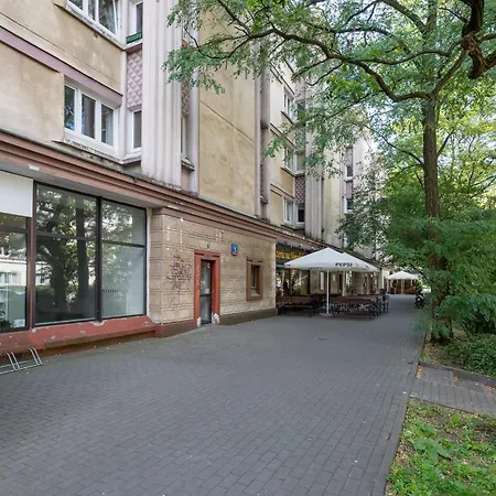 Nowolipki Deluxe Grey